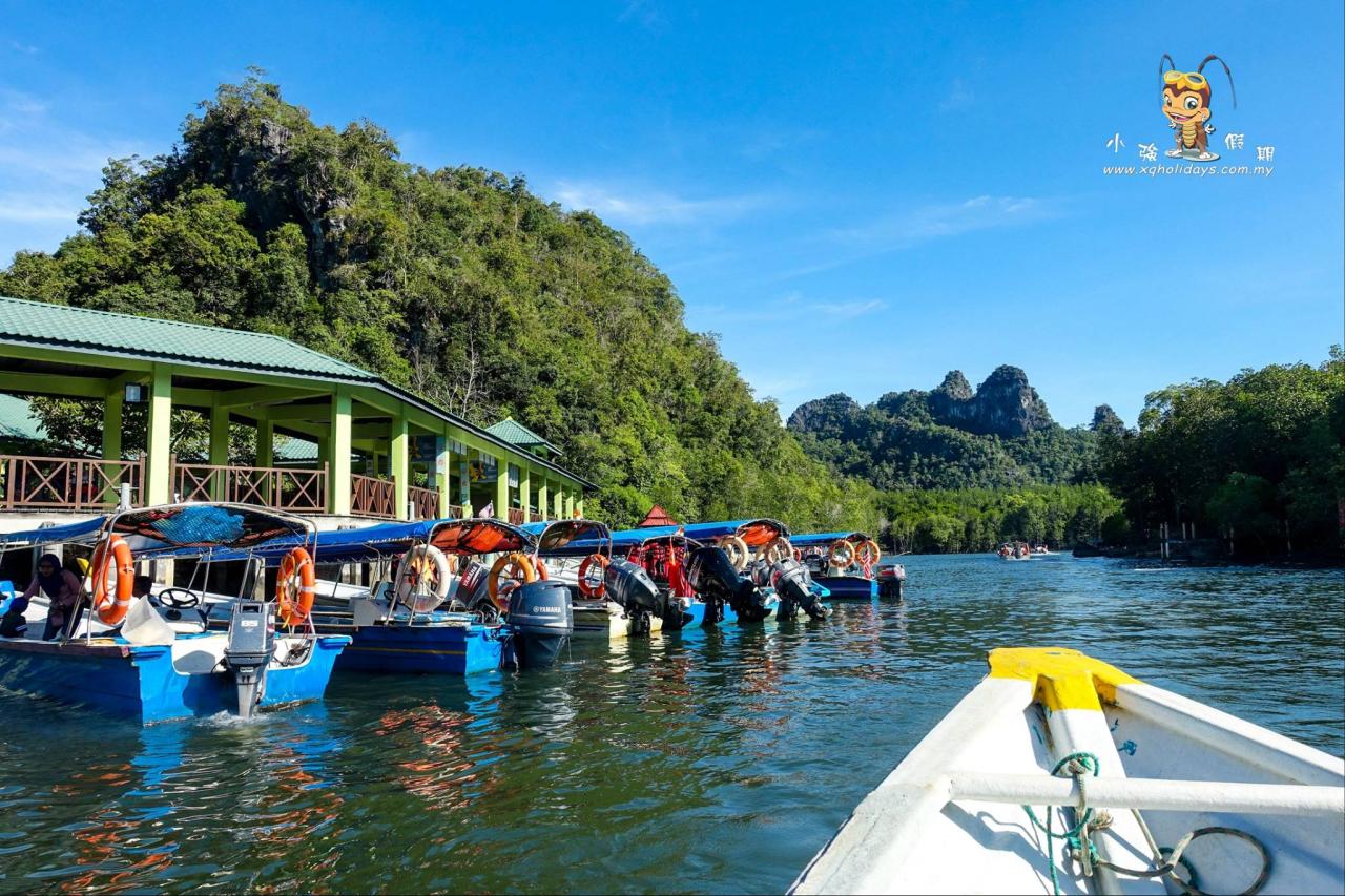 Jelajahi Keajaiban Mangrove Langkawi: Tur yang Menakjubkan